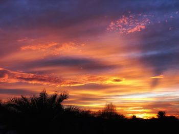 Low angle view of silhouette trees against dramatic sky