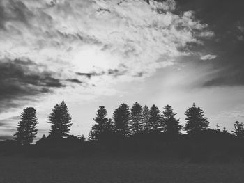 Trees in forest against sky