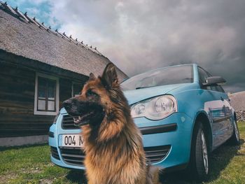 View of a dog on car against cloudy sky