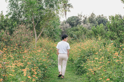Rear view of woman walking amidst plants