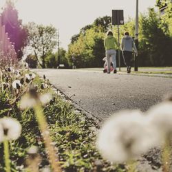 Rear view of people walking on road