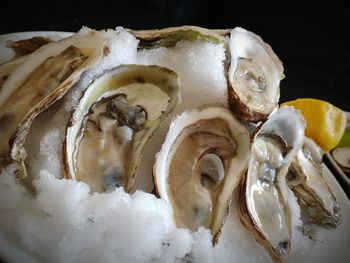 High angle view of ice cream