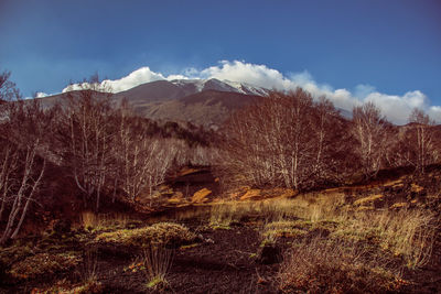 Scenic view of tree mountains against sky