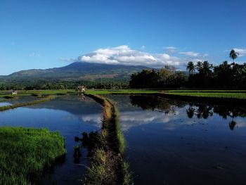 Scenic view of lake against sky