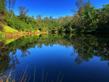 Scenic view of lake against blue sky