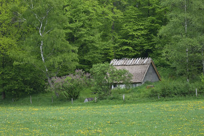 Built structure on field in forest