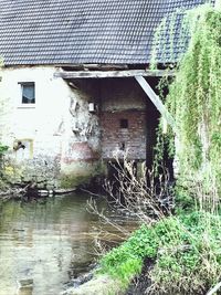 Abandoned building by plants