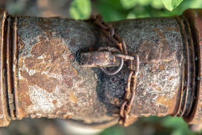 Close-up of rusty metal