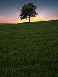 Scenic view of field against sky at sunset