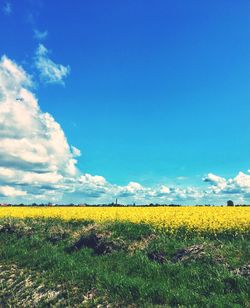 Scenic view of yellow field against blue sky