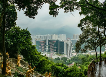 Trees in city against cloudy sky