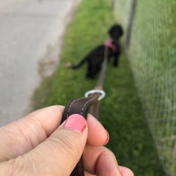 Close-up of woman holding hands