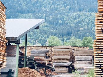 Stack of wooden house by trees in forest