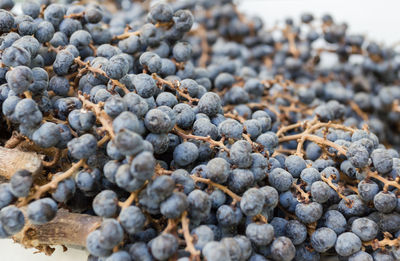 Close-up of blueberries on ground