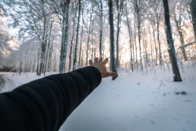 Human hand on snow covered forest at sunrise