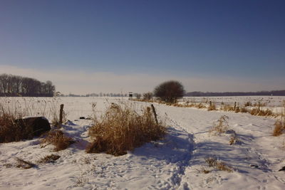 Scenic view of snow covered field against clear sky
