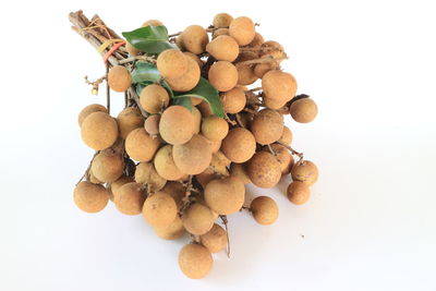 High angle view of mushrooms against white background