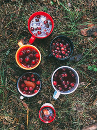 High angle view of fruits in bowl on field