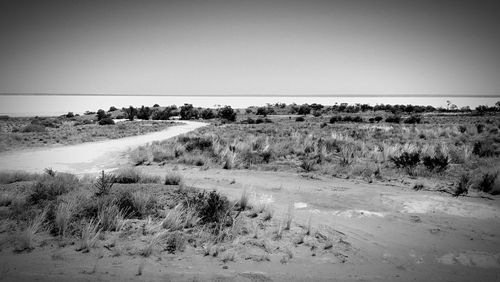 Scenic view of landscape against clear sky