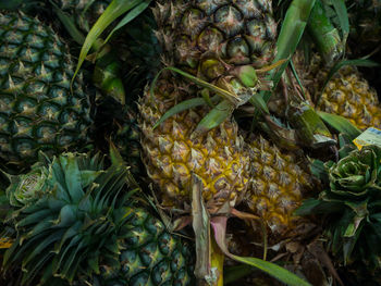 Close-up of fruits for sale in market