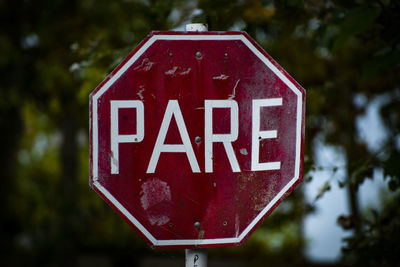 Close-up of road sign against trees