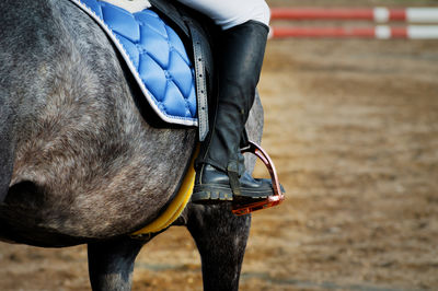 Midsection of woman with horse on field