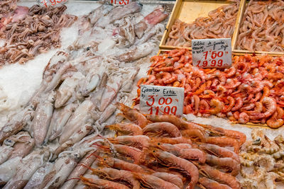 Prawns and octopus for sale at a market in madrid, spain