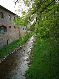 Footpath amidst buildings and trees