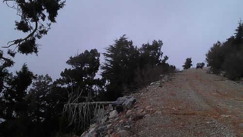 Road passing through trees against clear sky
