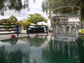 Reflection of trees in water