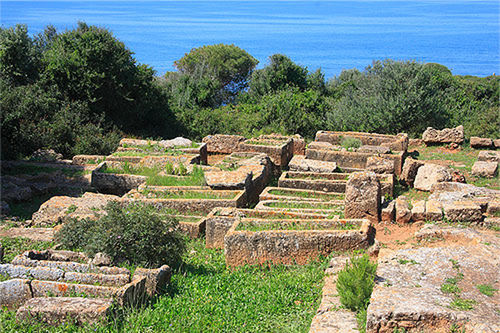 HIGH ANGLE VIEW OF OLD RUIN TREES