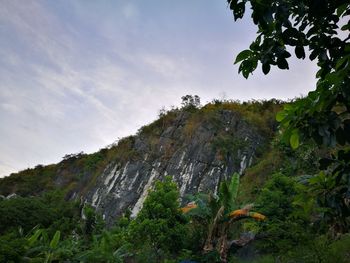 Low angle view of tree mountain against sky