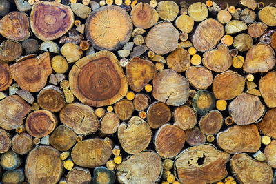 Full frame shot of logs in forest