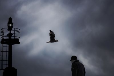 Low angle view of silhouette birds flying against sky