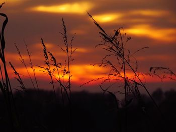 Silhouette landscape against orange sky