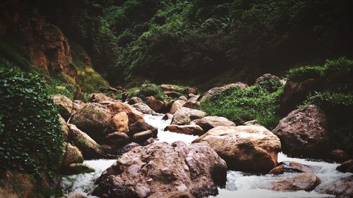 Stream flowing through rocks in forest