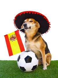 soccer ball