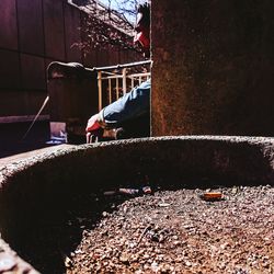 View of bird perching on wall