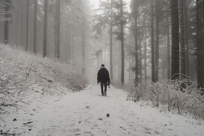 Rear view of man walking on snow covered land