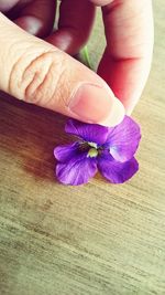 Close-up of cropped flower