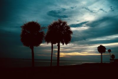 Silhouette trees on beach against sky at sunset