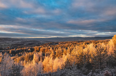 Scenic view of landscape against sky during sunset
