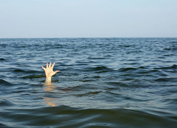 Person swimming in sea against clear sky