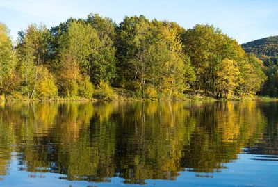 Scenic view of lake by trees against sky