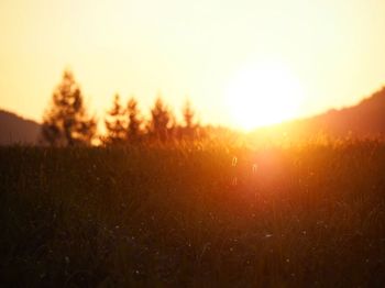 Scenic view of sunset over field