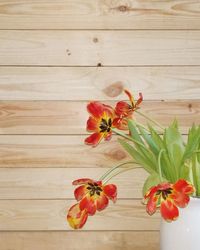 Close-up of red flowering plant on wooden table