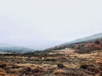 Scenic view of landscape against sky
