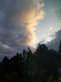 Low angle view of silhouette trees against sky during sunset