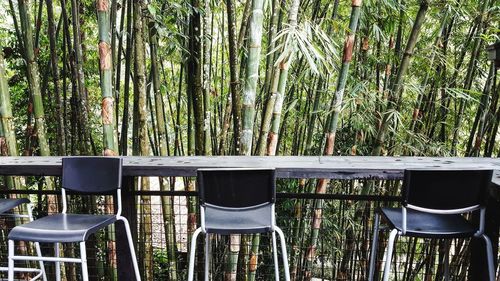 Empty chairs and table against trees in forest