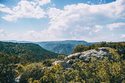 Scenic view of landscape against sky